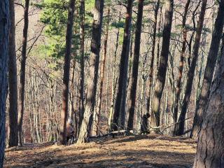 Ohuta-Barn Vendégház - 3
