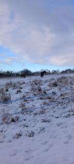 Ferienwohnung Matheaperle - 4