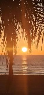 Torrevieja Playa - 0