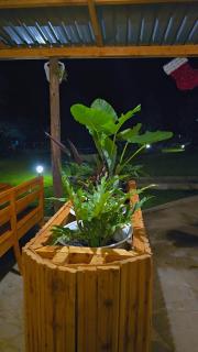 Daima Escape - Usa River - 8