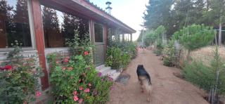 CABAÑA Willy's country club Cauquenes - 1