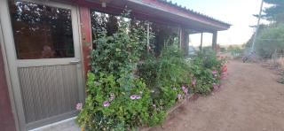 CABAÑA Willy's country club Cauquenes - 2