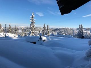 Spacious cabin on Nesfjellet, Nesbyen - 5