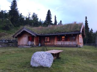 Spacious cabin on Nesfjellet, Nesbyen - 3