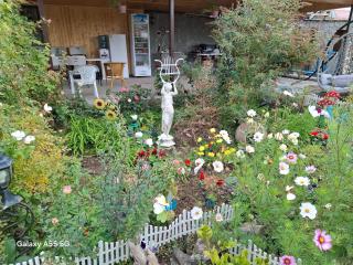 Алрез Гостевой дом - 9