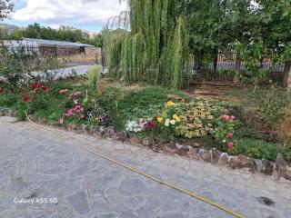 Алрез Гостевой дом - 6