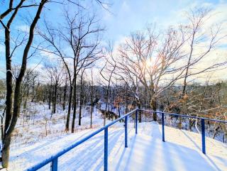 The Grand Landmark 5-Story Windmill Retreat - 3