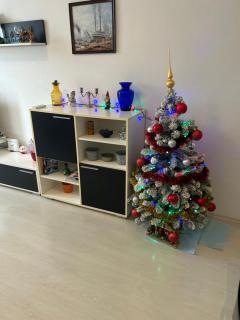 Apartman Manuela - Rijeka - 8