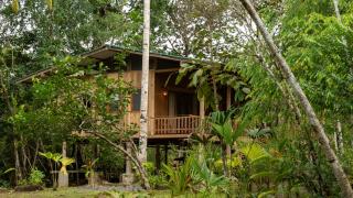 Jardín Botánico del Pacífico y Mecana Ecohotel - 4