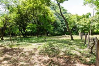 Oceanview Treetop Casita - Walk to Beach, Private, and Eco - 7