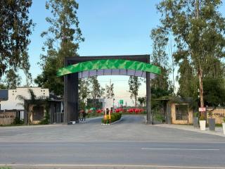 Stand alone Executive 2BR villa in Emerald Hill Estate Move In Ready All Comfort - 2