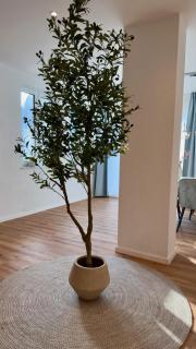 Casa Olivia- Mediterranes Wohnen mit Terrasse und Garten - 5