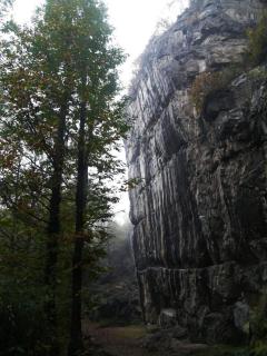 Chalet in the chestnut woods - 3