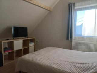 Сјајни лешник - 6