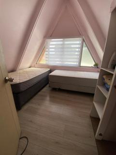 Centro de temuco - 8