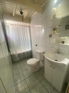 Centro de temuco - 1