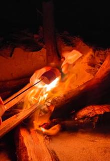 Bungalows Sol y Mar - 4