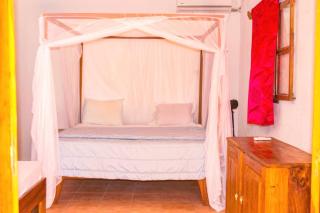 Le Manguier du Saloum - 8