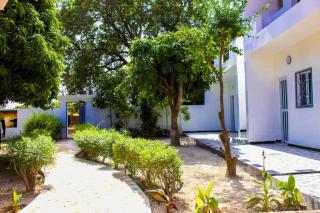 Le Manguier du Saloum - 2