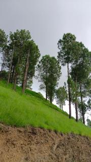 Ranim Family Lodge - Full Space Booking - 2