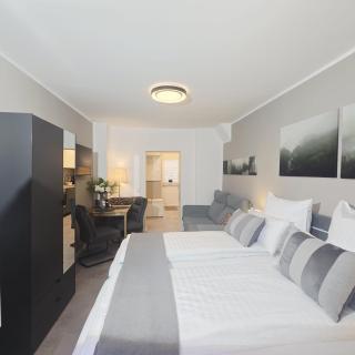 City APART - FeWo Klimaanlage Whirpool Panoramafenster 5 Personen Kulturdenkmal Dessau-Roßlau - 7