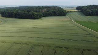 Zwischen Wald und Wiese - 9