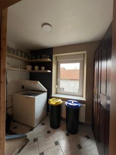 Zwischen Wald und Wiese - 2