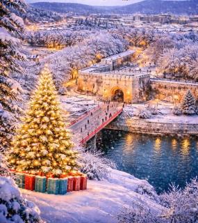 Victory apartment - Niš - 0