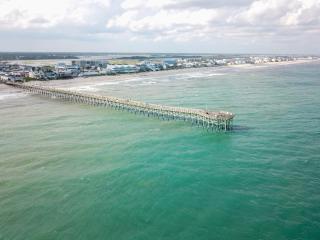 The Sassy Sea Turtle - Hampstead - 6