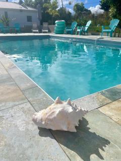 Vanille-colibris Le Domaine Mannou - 0