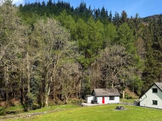 Cuckoo Cabin, Tyn Y Cwm - 9