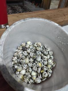 Pousada Mamangaba de Ubá - 3