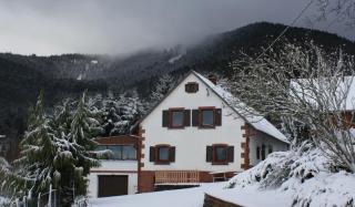 Gîte des abeilles du Kohlberg - 9