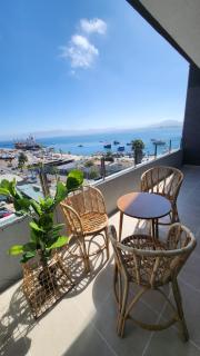 La Perla de Coquimbo - 0