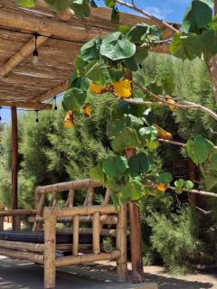 Bungalows de Chotos - 4