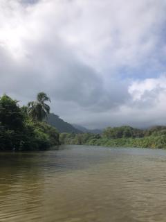 Puerto Manglar Hostal - Guachaca - 8