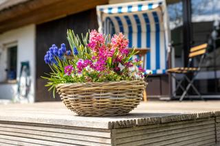 Ferienhaus Buttje - Blieschow - 3