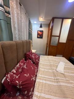 Luxury Apartment - 4