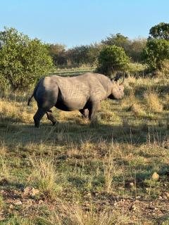 Nanja Mara Lodge - 1