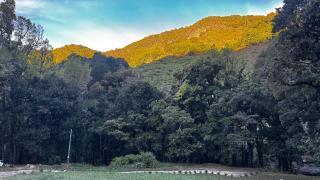 Entre Árboles Lodge - 7