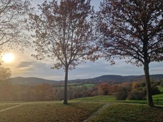Ferienwohnung Documenta Urbana - 0