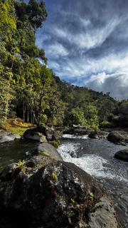 Entre Árboles Lodge - 9