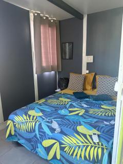 Les Algues de la Chapelle - 4