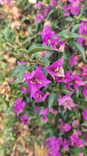 No está disponible, no reserve - 6