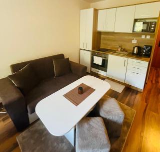 Studio Harmony, Pamporovo - 8