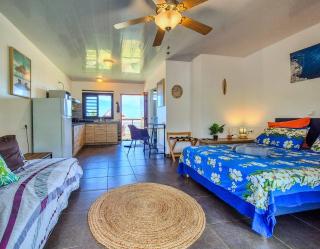 Studio Tropical - climatisé - vue mer et montagnes - canoes et paddle offerts ! Teahupo'o Lodge Tahiti - Teahupoo - 3