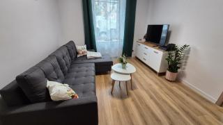 Apartament w Rynku - 0