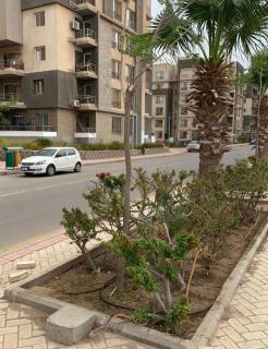 Apartment 10 minutes from the Great Egyptian Museum and the Pyramids - 3