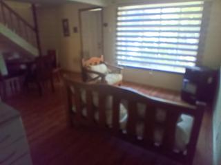 Cabañas Centrales - Valdivia - 3