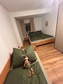 Ferienwohnungen Rauch - 1